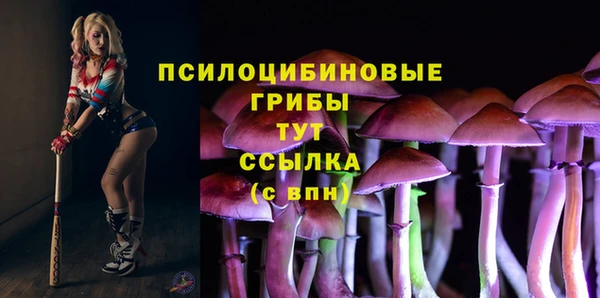 соль ск Липки