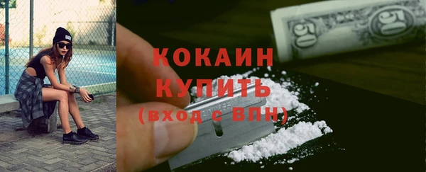 прущие грибы Магадан