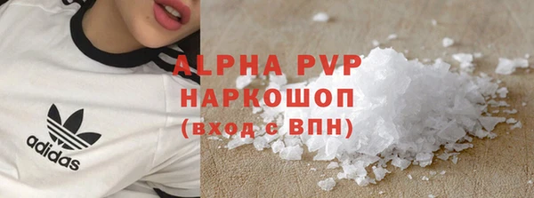 прущие грибы Магадан