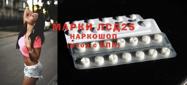 индика Майский