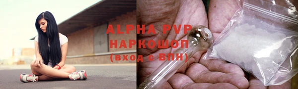 тгк Магас