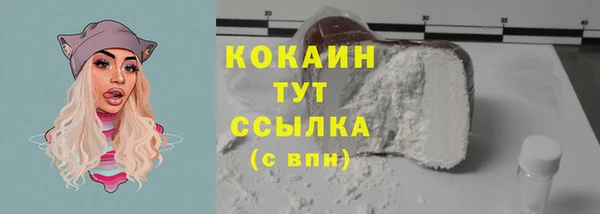 соль ск Липки