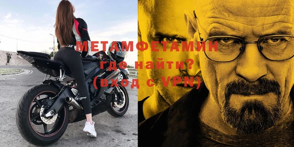 прущие грибы Магадан