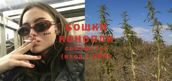индика Майский