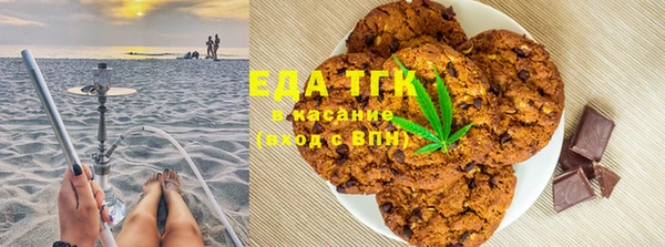 прущие грибы Магадан