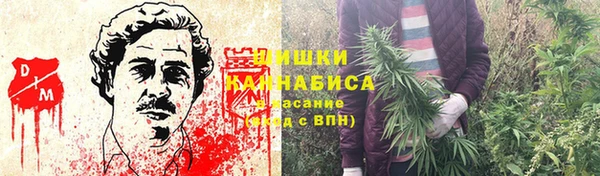 ECSTASY Лиски