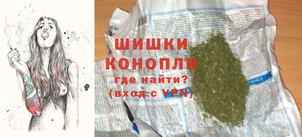 PSILOCYBIN Лихославль