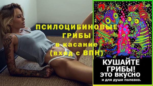 ECSTASY Лиски