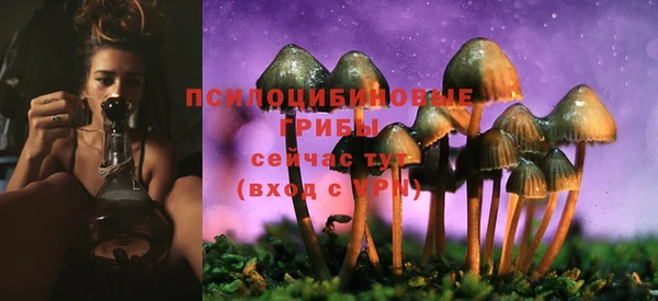 индика Майский