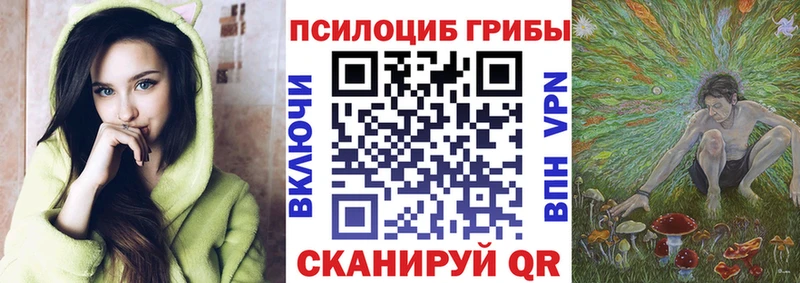Купить закладки Орлов Галлюциногенные грибы GOLDEN TEACHER